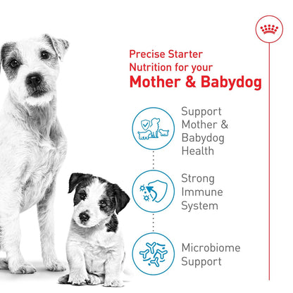 ROYAL CANIN - Alimento Starter para Perras Gestantes y Cachorros Talla Pequeña 1.13kg