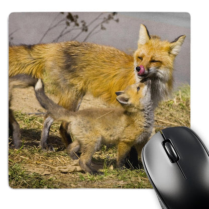 3dRose 8 x 8 x 0.25 Inches Colorado Breckenridge Red Foxes Jaynes Gallery Mouse Pad (mp_88817_1)