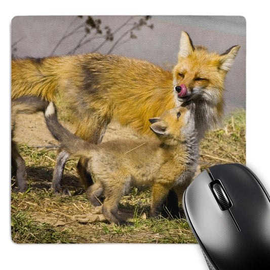 3dRose 8 x 8 x 0.25 Inches Colorado Breckenridge Red Foxes Jaynes Gallery Mouse Pad (mp_88817_1)