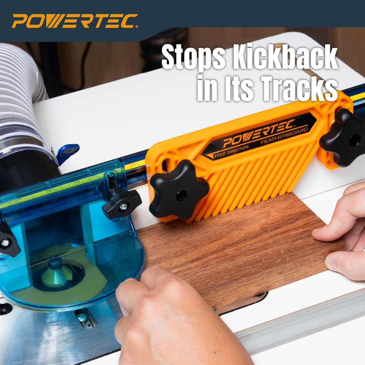 POWERTEC 71553 - Tabla de plumas para sierra de mesa, 2 unidades