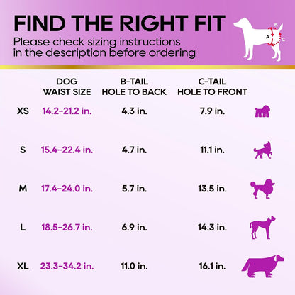 HONEY CARE All-Absorb Disposable Dog Diapers, X-Small