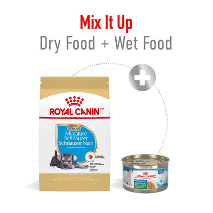 ROYAL CANIN, Puppy - Mini Schnauzer, Croquetas Perro, 1.1kg