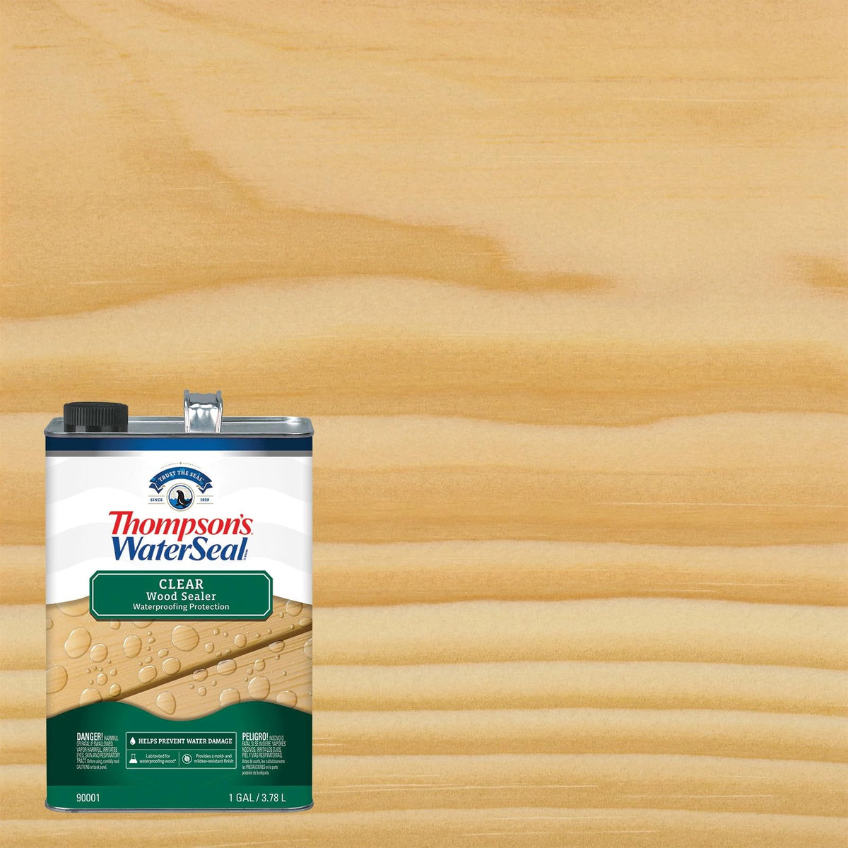 Thompson's WaterSeal Protector para madera Transparente, 3.78l