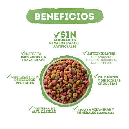 Beneful Purina Adulto Energia Tropical Sabor Carne y Pavo 10Kg