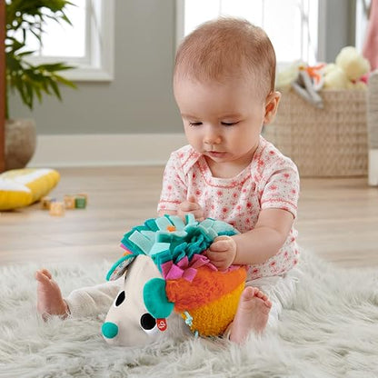 Fisher-Price, Erizo Estímulos y Juego, Baby, Juguete para Bebé, Juguetes Didácticos, 3 Meses en Adelante, 8 Texturas Diferentes y 3 Sonidos únicos para Que el bebé Explore