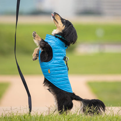 Gooby Chaleco Acolchado para Perro, Azul, Grande, ultradelgado con Cremallera y Correa de Doble Anillo en D, Abrigo Resistente al Agua para Perros pequeños, Ropa para Perros pequeños o medianos