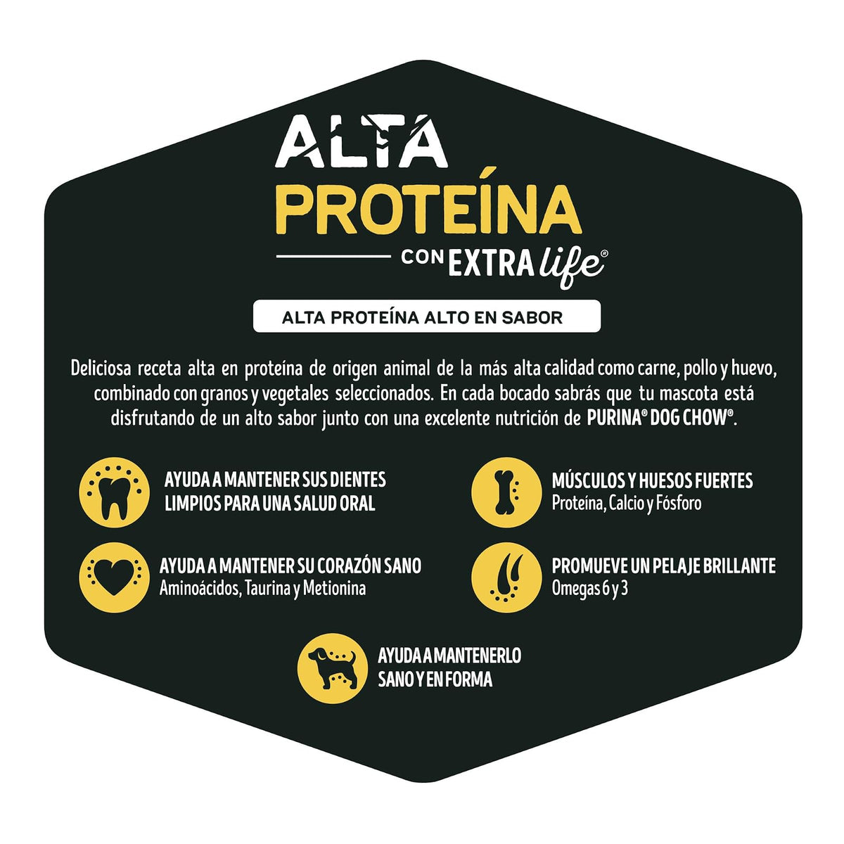 Dog Chow Adulto Alta Proteina 10kg N1 MX