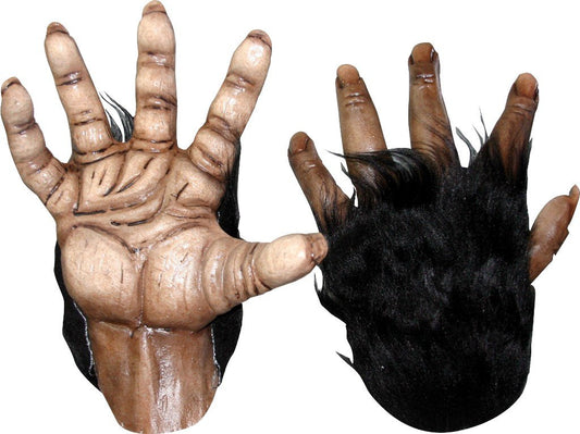 Ghoulish Productions Chimp Brown Hands, Accesorio para Mano de Mono, Complemento de Guantes de Chimpancé para Disfraz de Monkey Ideal para Halloween y Fiesta de Disfraces