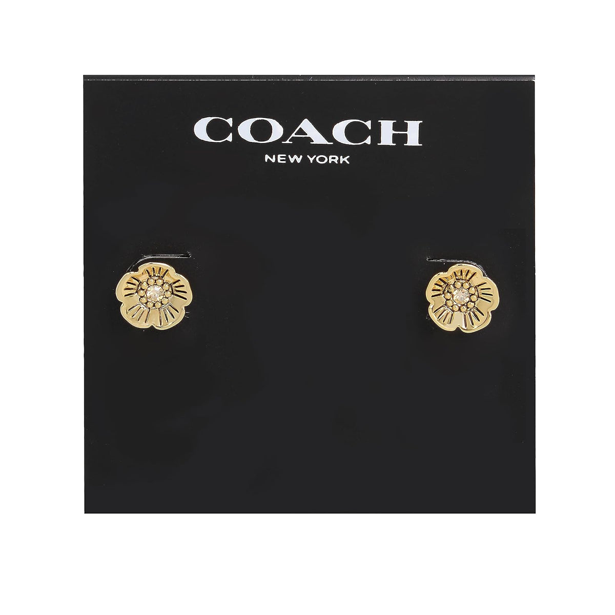COACH - arete de tuerca de té