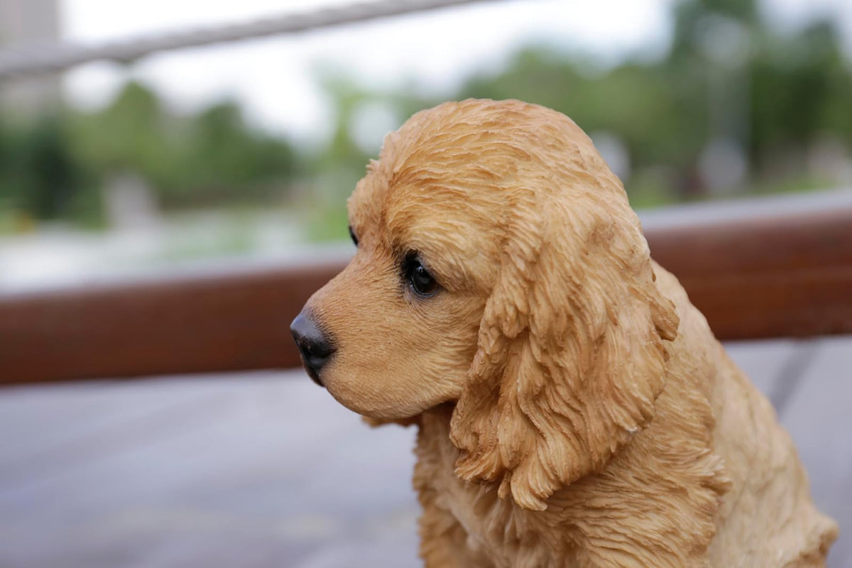 Hi-Line Gift Ltd. - Estatua de Cocker Spaniel de Color Crema
