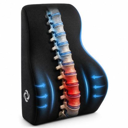 Samsonite Soporte Lumbar de tamaño Completo con Espuma viscoelástica 100% Pura, Full Size Back Support