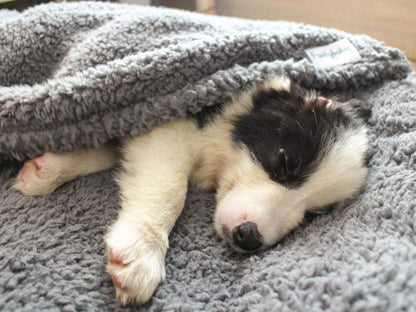 furrybaby - Manta Suave de Alta Calidad para Perros medianos y pequeños, Cachorros, Gatos, Lavable de Forro Polar Sherpa de 32 x 40 Pulgadas, Manta para Mascotas, Muebles de Cama, sofá, protección