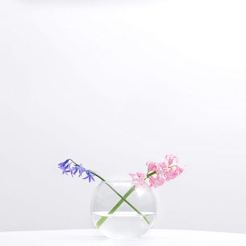 WGV tazón de vidrio transparente con jarrón, 15,24 cm