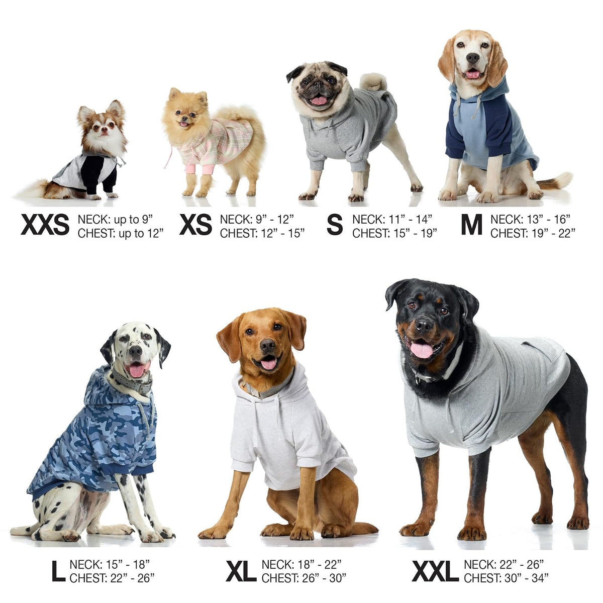 pet passion Rocky II - Sudadera con Capucha Extra cómoda, algodón orgánico y poliéster Reciclado para Perros pequeños, medianos, Grandes, Azul Marino, Talla M