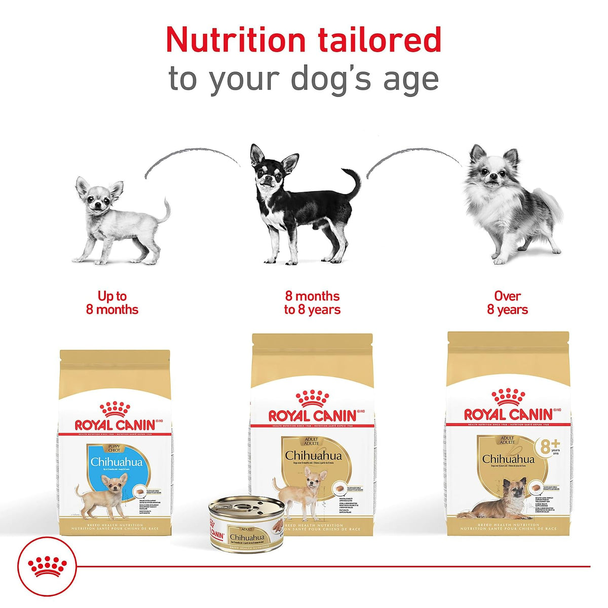 ROYAL CANIN, Puppy - Chihuahua, Croquetas para Perro, 1.1kg