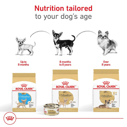ROYAL CANIN, Puppy - Chihuahua, Croquetas para Perro, 1.1kg