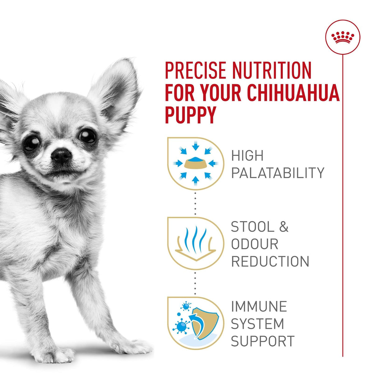 ROYAL CANIN, Puppy - Chihuahua, Croquetas para Perro, 1.1kg
