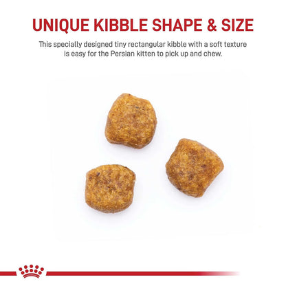 Royal Canin Alimento seco para gatos adultos para gatitos persas de raza felina, 3 libras