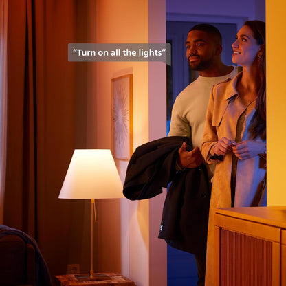 Philips Hue Guirnalda de luces Festavia 250 LEDs multicolor