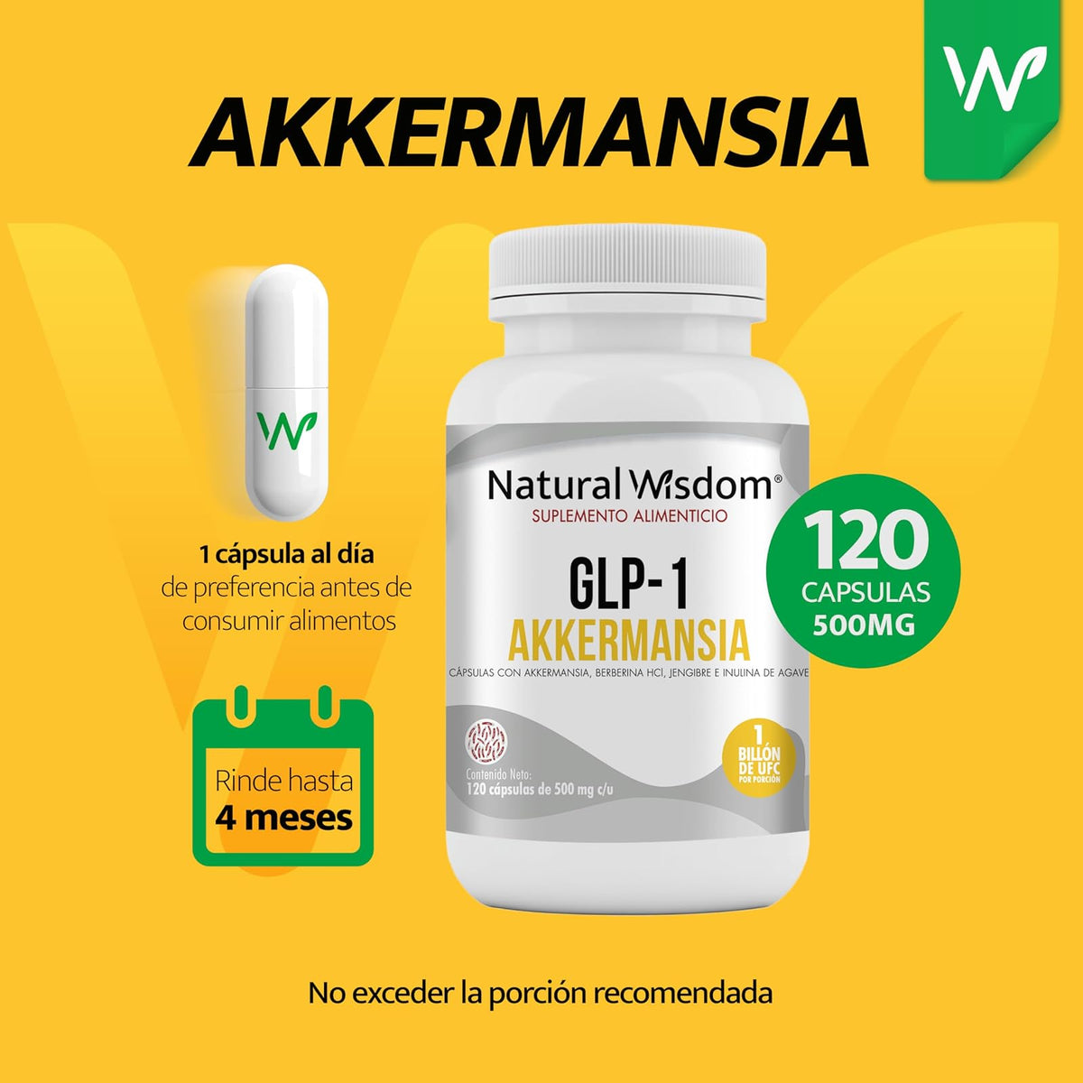 NW Probioticos GLP-1 Akkermansia Muciniphila1 Billon UFC con Jengibre & Berberina HCl, 120 capsulas | Antiinflamatorio