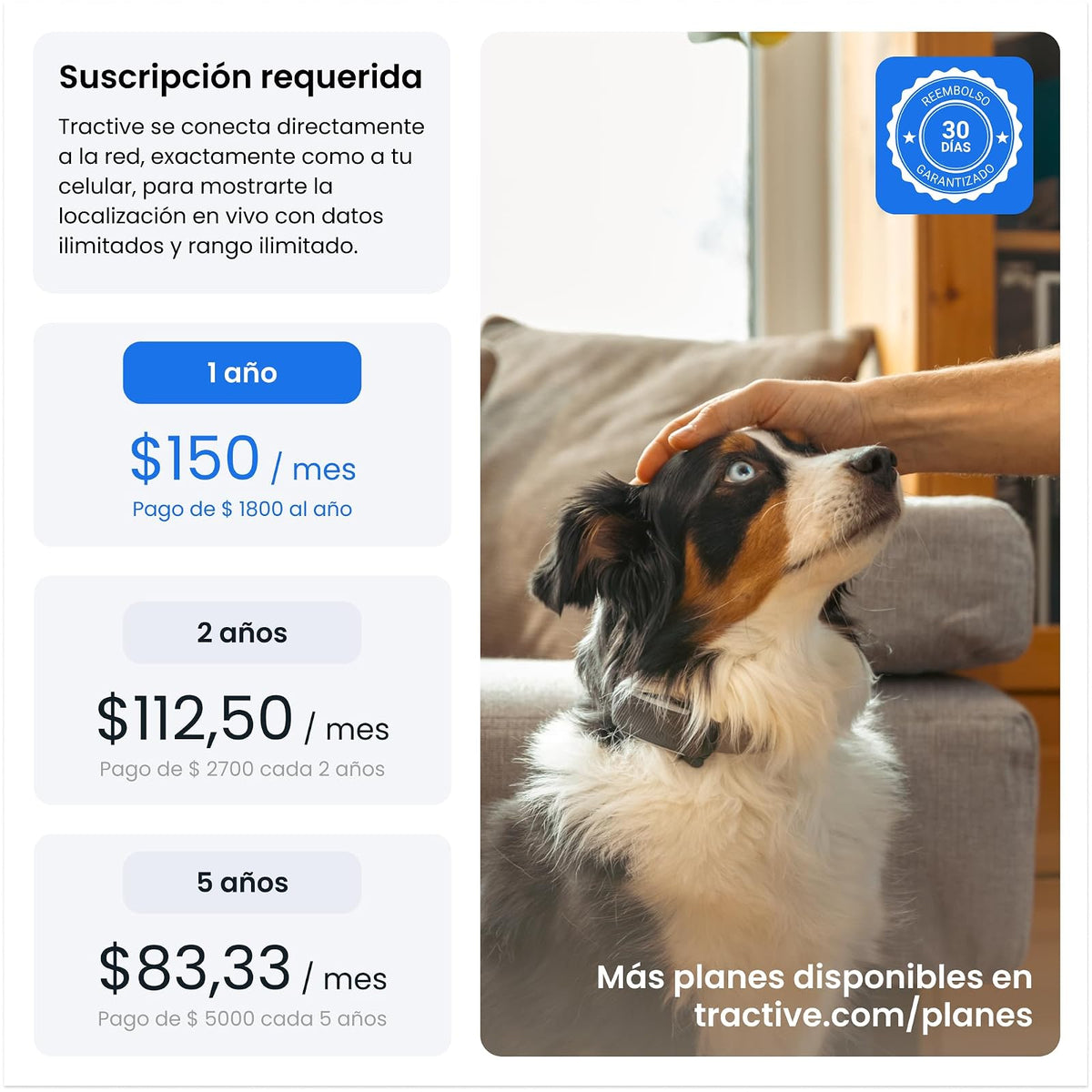 Tractive Rastreador GPS para Mascotas | GPS para Perro Inteligente con Valla Virtual | Monitoreo de Frecuencia Cardíaca y Respiratoria | Detección de Ladridos | Se Acopla al Collar (Menta)