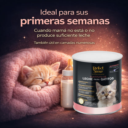 Perfect Sense Sustituto de Leche para Gatitos 360 g con Prebióticos, Probióticos, Enzimas Digestivas y DHA de Origen Marino