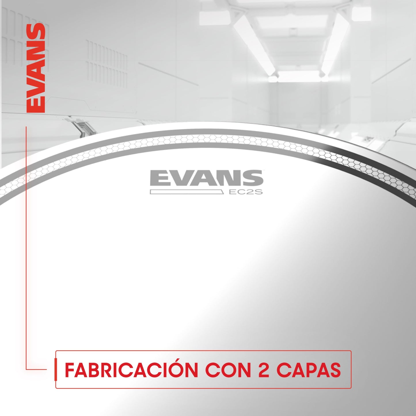 Evans ETP-EC2SCLR-F Parche Juego, 10-12-14 pulgadas