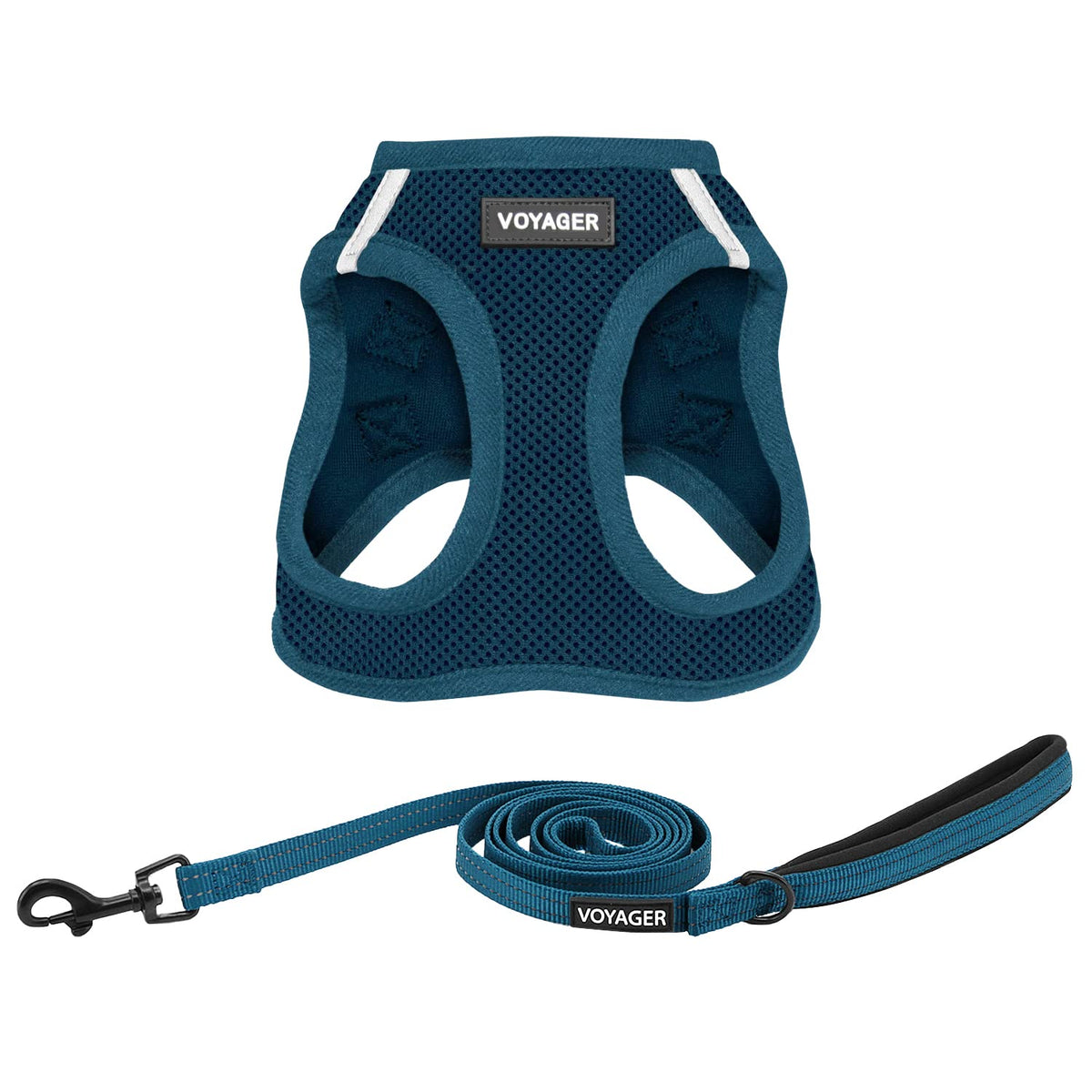Best Pet Supplies Arnés de Malla para Perro con Correa Reflectante - 2X-Small (Chest: 11.5 - 13" * Fit Cats) - Borde azul a juego (paquete fácil)