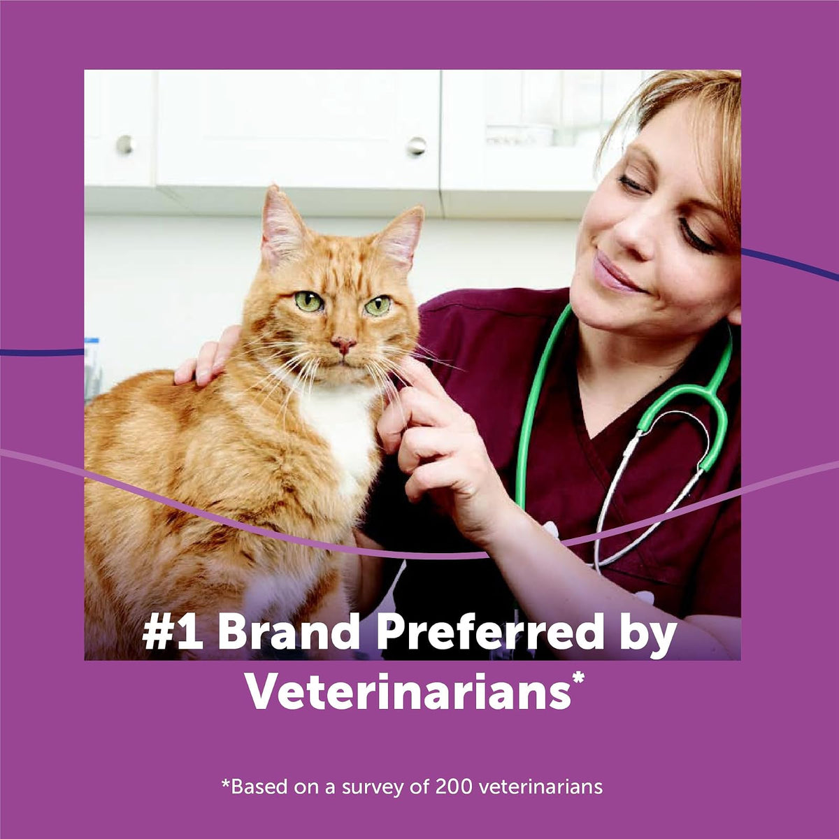 CEVA Animal Health C23850C Feliway Refill for 30 Days, 48ml