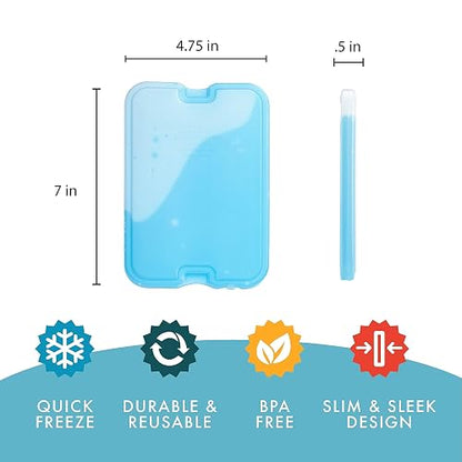 Cool Coolers by Fit & Fresh Paquete de 4 Paquetes de Hielo Delgados XL, Paquetes de Hielo Reutilizables para fiambreras o enfriadores, Color Verde