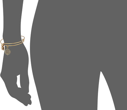 Alex and Ani Path of Symbols - Brazalete expandible para mujer, diseño de brújula, acabado rafaeliano, 2 a 3.5 pulgadas