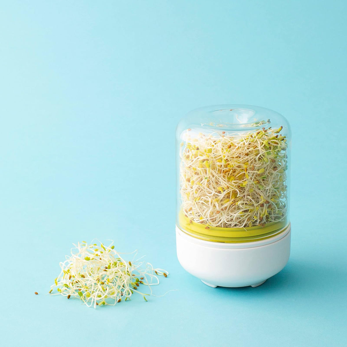 Chef'n Kit de Cultivo de brotes de encimera, Talla única, Blanco para Hornear, Wasabi/Vidrio
