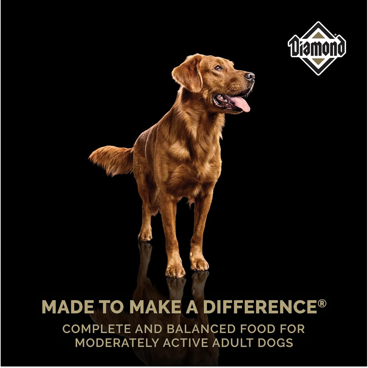 Diamond Premium Maintenance Alimento para Perro Adulto | Fórmula para perros adultos moderadamente activos, nutrición completa y , omegas 3 y 6 para piel y pelaje
