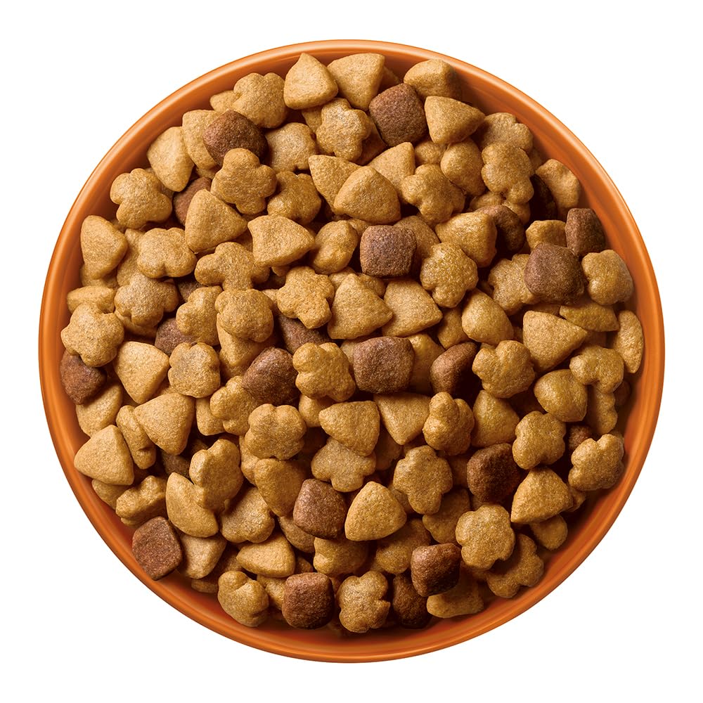 Dog Chow Purina Adulto Raza Mini y Pequeña Sabor Carne y Pollo 7.5Kg