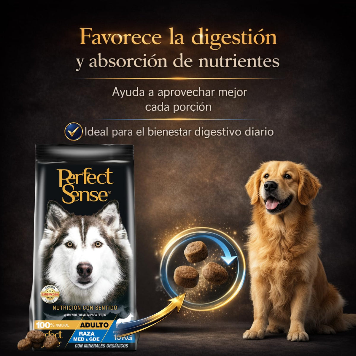 Perfect Sense Alimento Premium para Perro Adulto Raza Mediana y Grande MLB 15 kg - 100% Natural con Omega 3, Prebióticos y Antioxidantes - Alta Digestibilidad