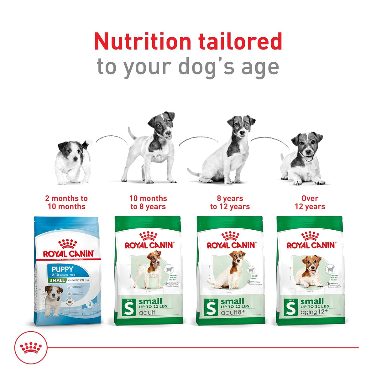 ROYAL CANIN Croquetas para Perros Pequeños, Mini Mature +8, 1.1 kg (El empaque Puede Variar)