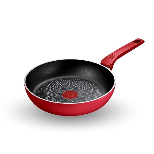T-Fal Sartén 24 cm con antiadherente Titanium 2X, Termo señal, Base de inducción, Hecho en Francia, Daily Expert, C2890402