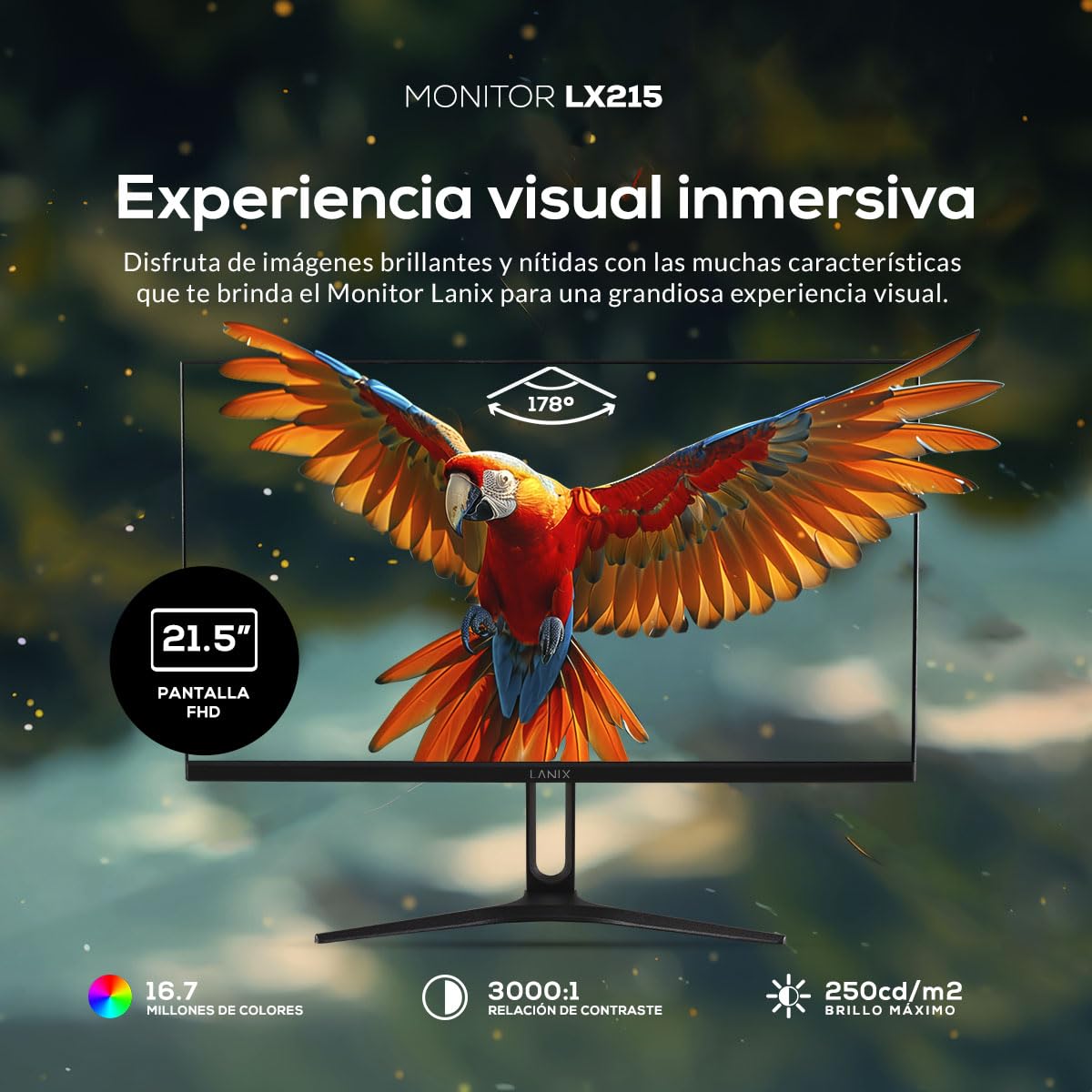 Monitor Lanix LX215 21.5 Pulgadas, 1920x1080 Full HD, Panel VA, HDMI, DisplayPort, Montaje VESA 75x75mm, 100Hz