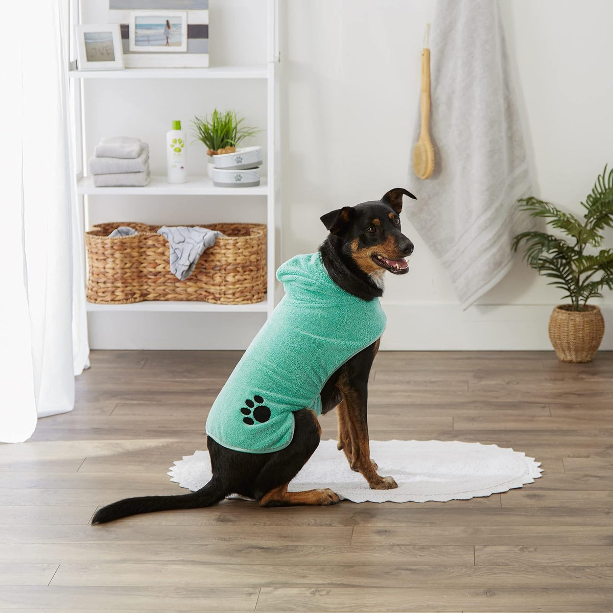 Bone Dry Colección Pet Robe - Bata de baño de Microfibra Absorbente Bordada con Cierre Ajustable, para Perros y Gatos, Talla M, Color Aguamarina