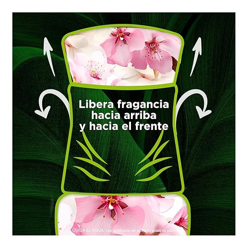 Air Wick Repuestos Para Aromatizante De Ambiente Continuo, Aroma Magnolia & Cherry Blossom, 5 Piezas de 20 ml c/u