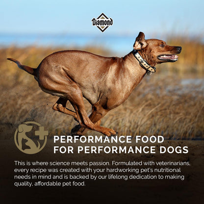 Diamond Premium Alimento para Perro Adulto Activo | Fórmula para perros adultos activos, alta proteína y energía, nutrición completa y