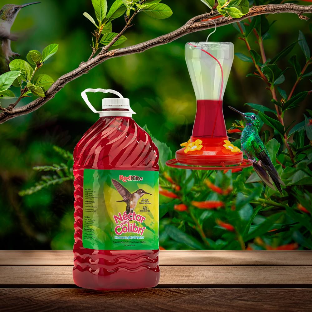 Redkite Néctar Líquido para Colibríes 3.8 L — Néctar Listo para Usar con Energía para Aves