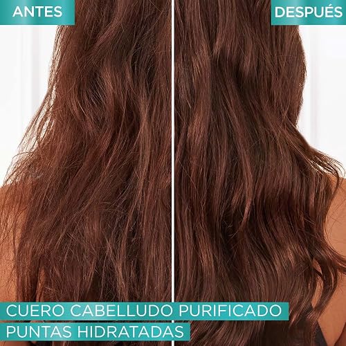 L'Oréal Paris Shampoo micelar con Ácido Hialurónico y Ácido Salicilico Elvive Hialurónico Pure, 2 veces cabello más limpio, para raíz grasa y puntas deshidratadas, 300ml
