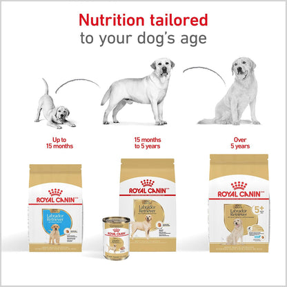 ROYAL CANIN Alimento Seco para Perro Adulto Raza Labrador Retriever, 7.7 kg