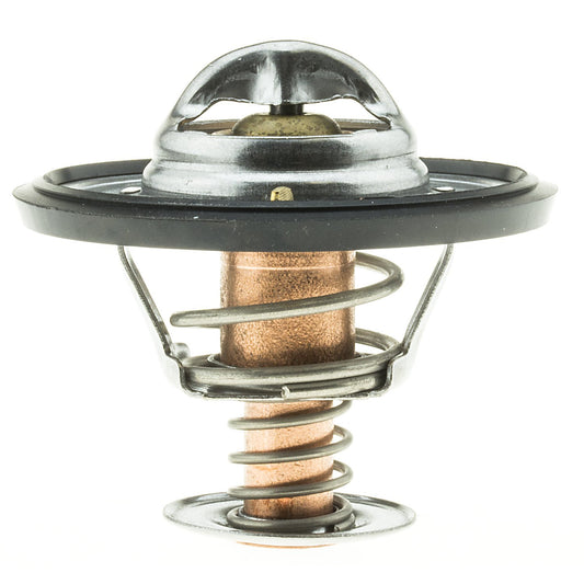 MotoRad 265-160 Termostato with Seal, Silver