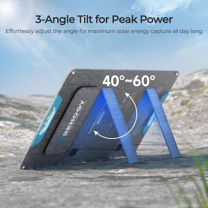 Renogy - Panel solar de 100 W, paneles solares portátiles tipo N de 100 W, con soporte, cargador solar plegable del 25% de alta eficiencia para central eléctrica, salida USB-A y tipo C, para camping