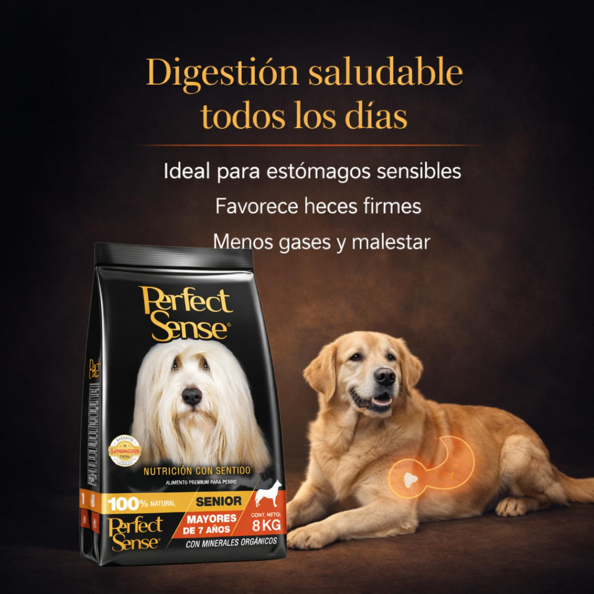 Perfect Sense Alimento Premium para Perros Senior Adultos 8 kg – Fórmula Natural para Salud Articular y Masa Muscular – Croquetas Pequeñas y Sabrosas