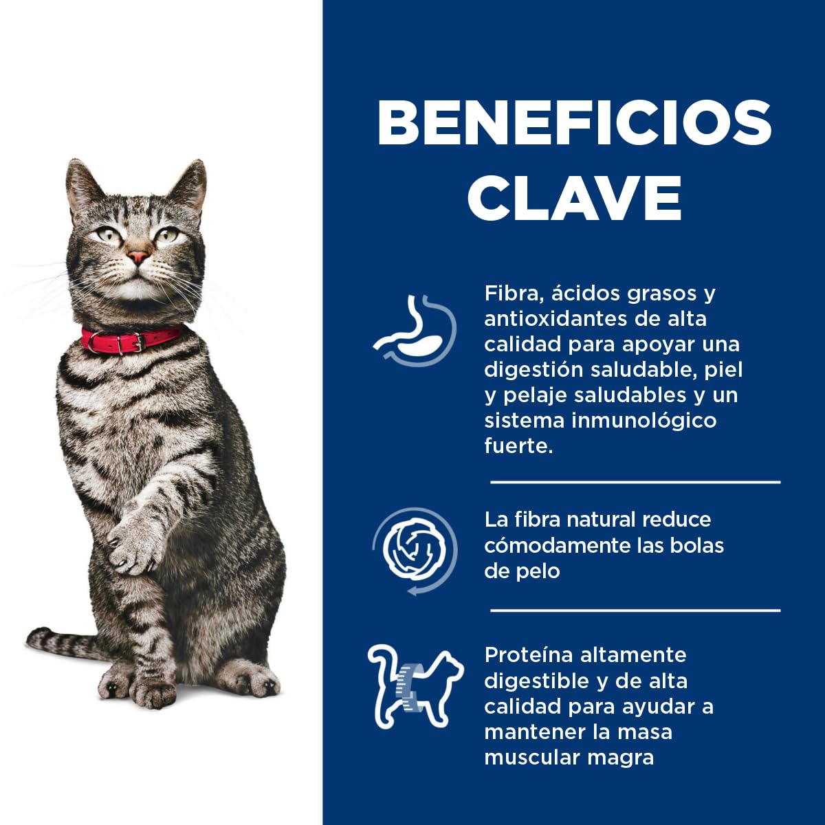 Hill's Science Diet Hairball Croquetas para Gato Adulto Sabor Pollo 3.1Kg | Croquetas Hill's para gato, pollo real, control de bolas de pelo, piel y pelaje sanos, fibra natural