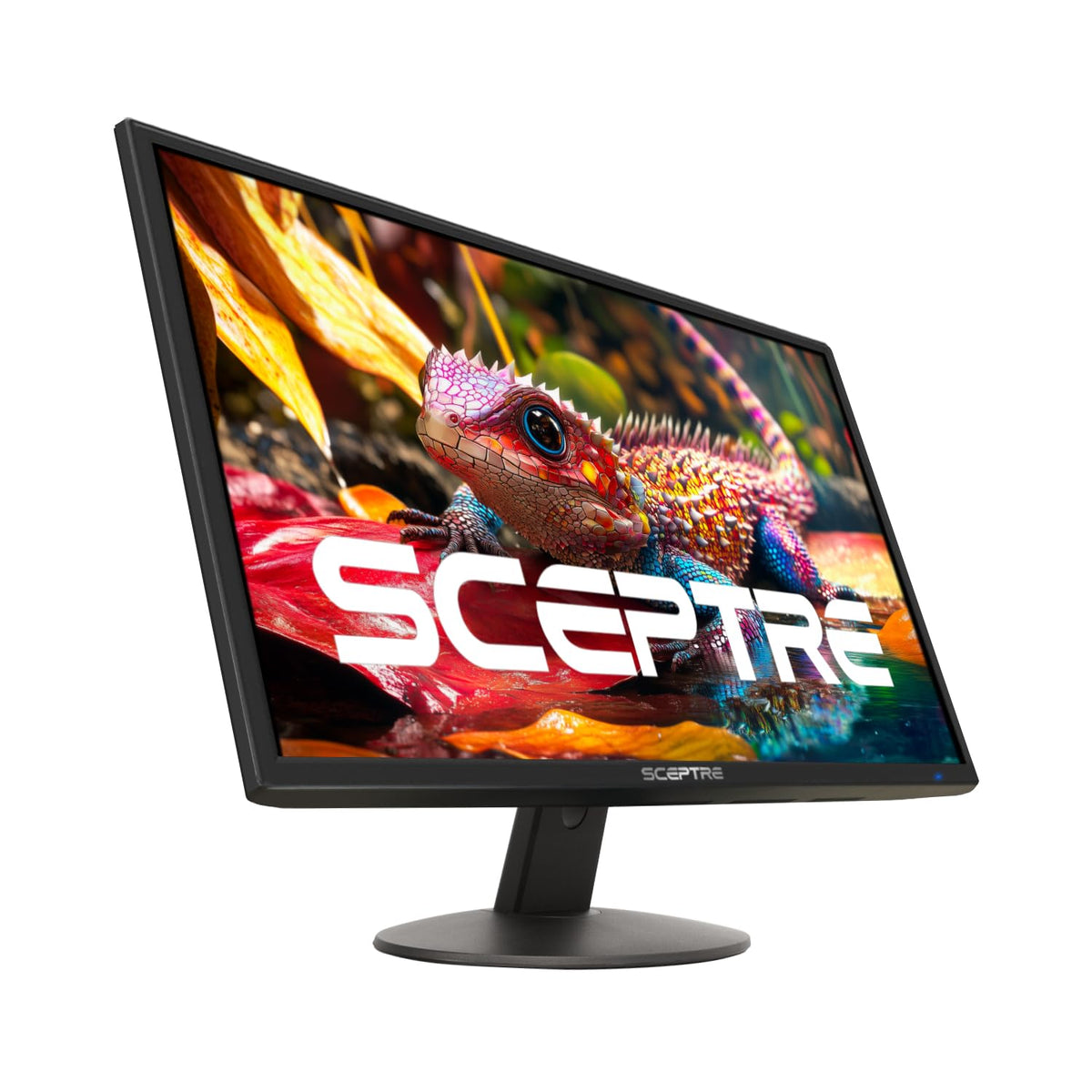 Sceptre New 22 Inch 1080p LED Monitor 1920 x 1080 75Hz HDMI x2 VGA 99% sRGB Build-in Speakers, Blue Light Shift Machine Black (E22 Series)