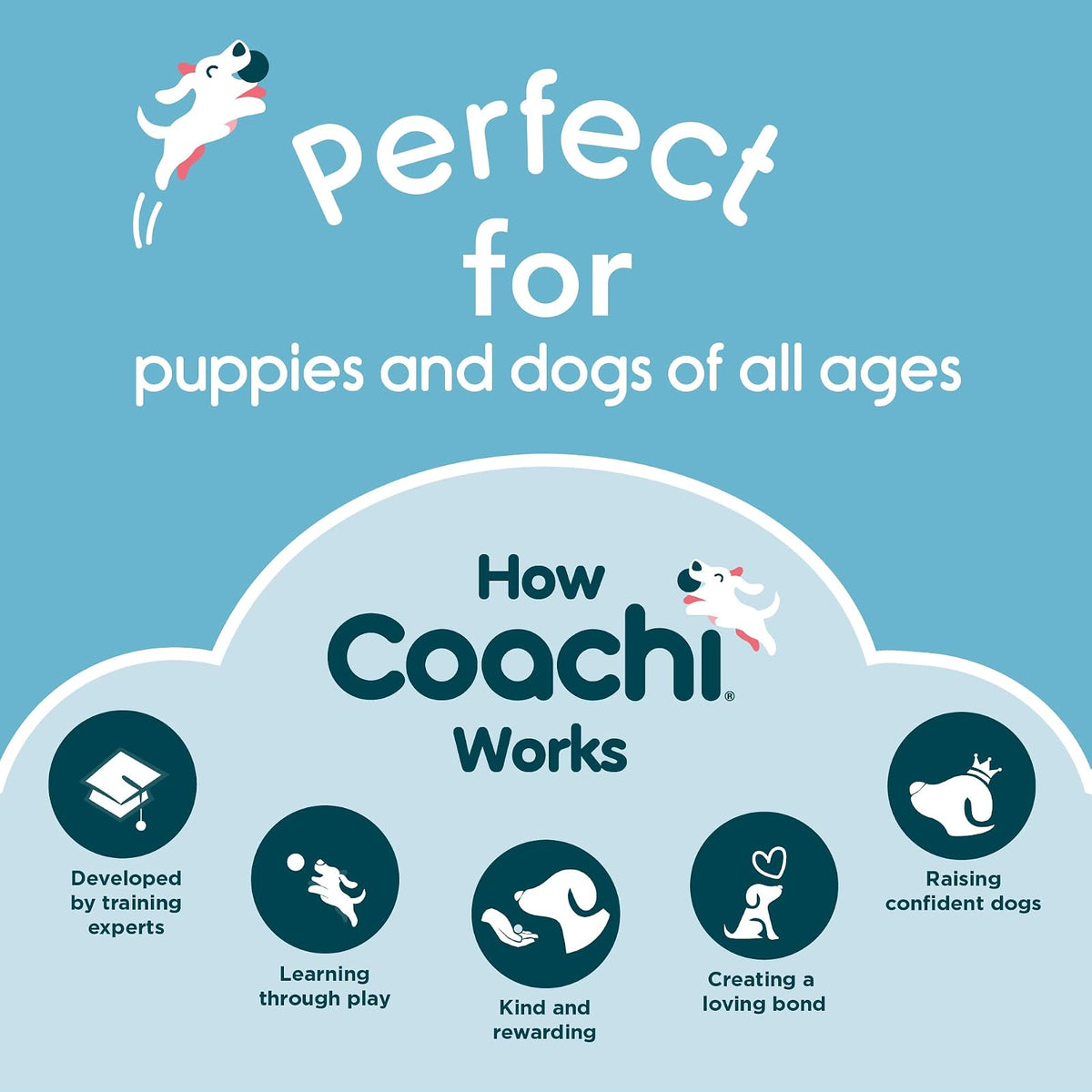 Company of Animals Coachi Target Stick, Telescopic Design with Large Ball for Target, Dog Accessory for Clicker & Agility Training, Teach Commands and Tricks